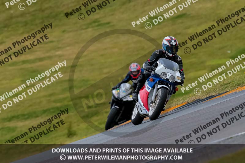 PJ Motorsport 2019;anglesey no limits trackday;anglesey photographs;anglesey trackday photographs;enduro digital images;event digital images;eventdigitalimages;no limits trackdays;peter wileman photography;racing digital images;trac mon;trackday digital images;trackday photos;ty croes